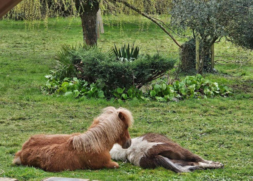 Bed and Breakfast Le Domaine Des Sources Landevant Экстерьер фото